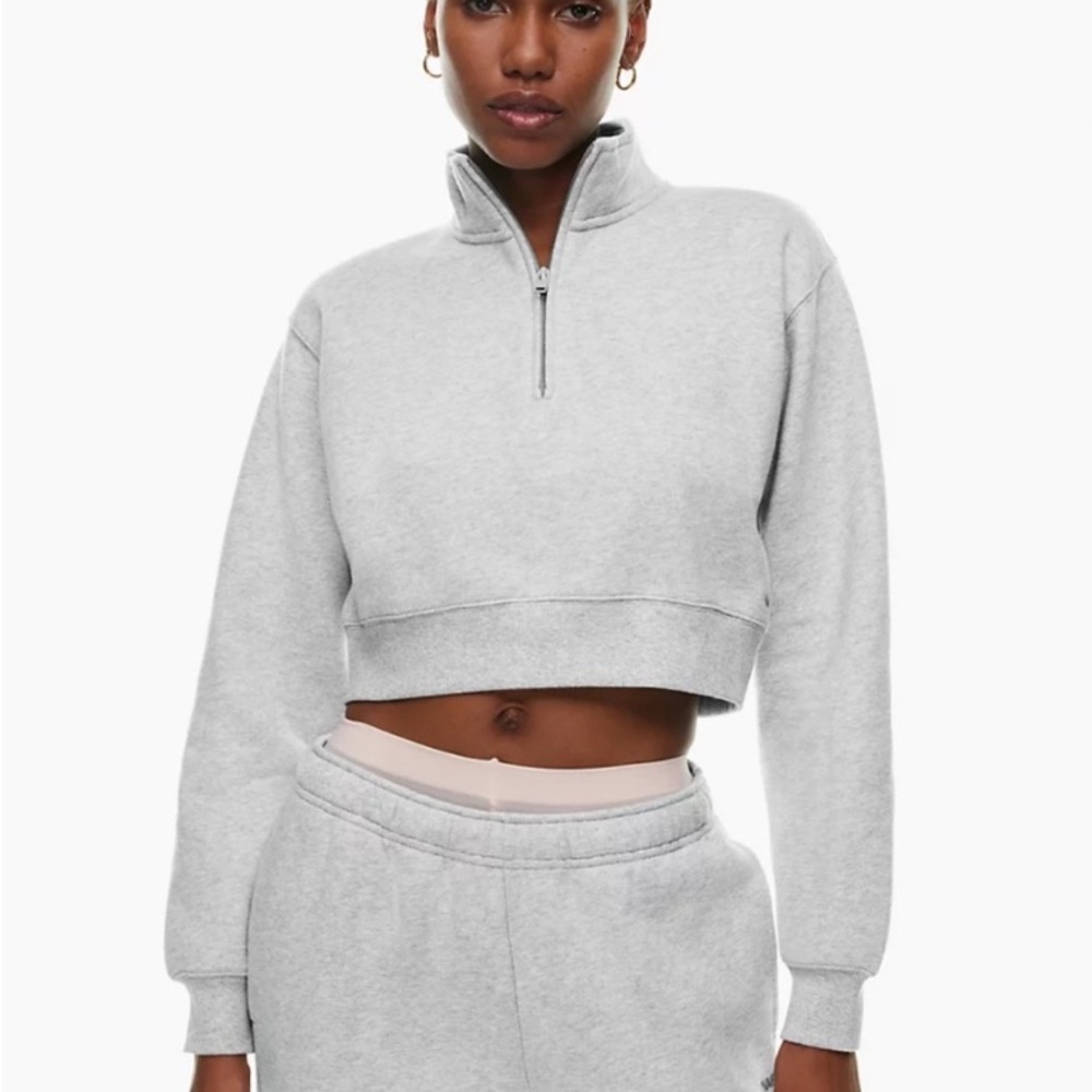 Aritzia TNA Dark Gray Boxy Cropped Long Sleeve Sweatshirt